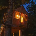 Tree House Alpinka Krvavec