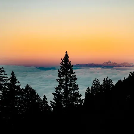 Tree House Alpinka Krvavec