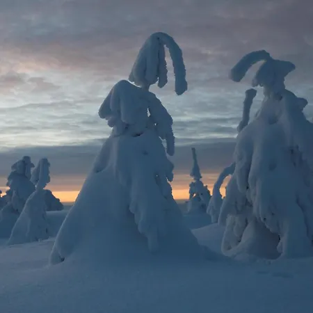 Tree House Alpinka Krvavec