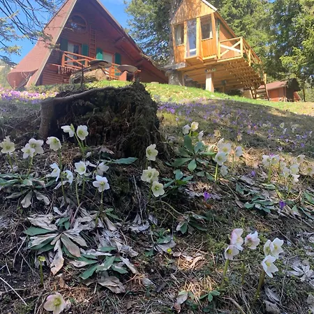 Tree House Alpinka Krvavec