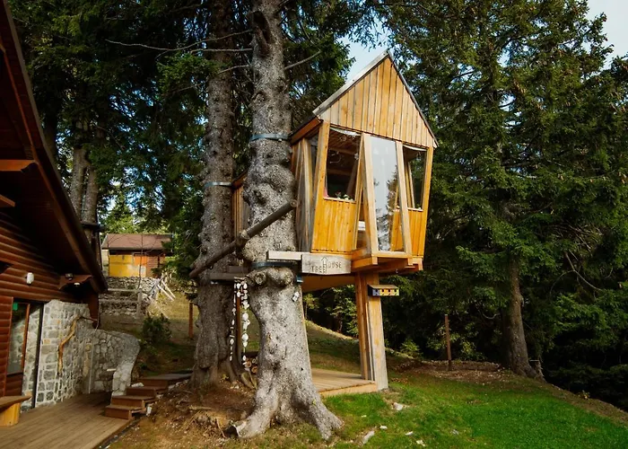 Feriehus Tree House Alpinka Krvavec Cerklje na Gorenjskem