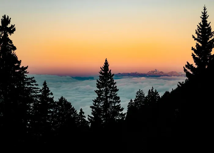 Tree House Alpinka Krvavec