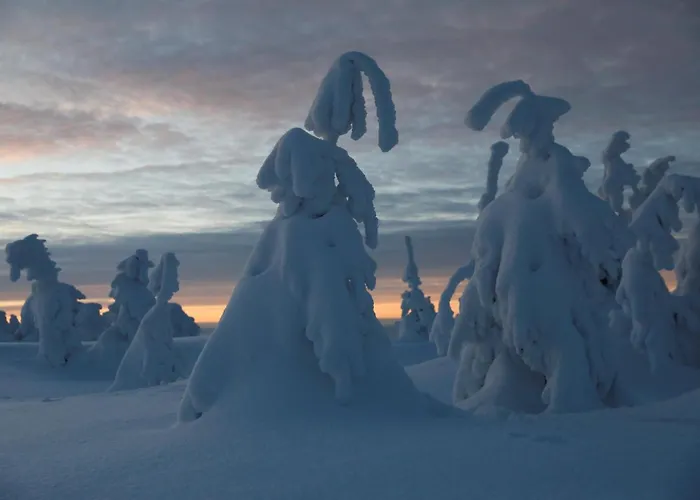 Tree House Alpinka Krvavec