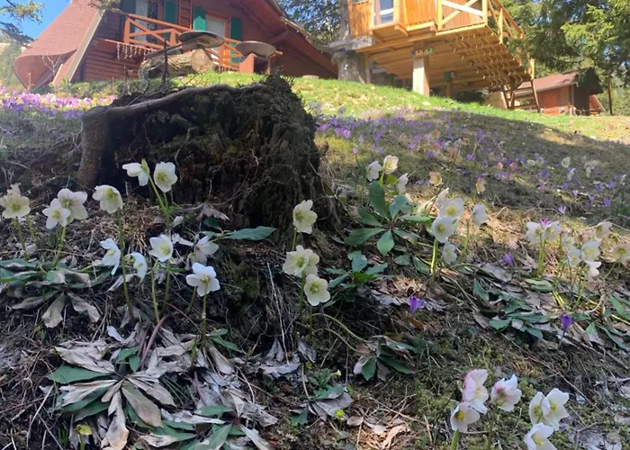 Tree House Alpinka Krvavec